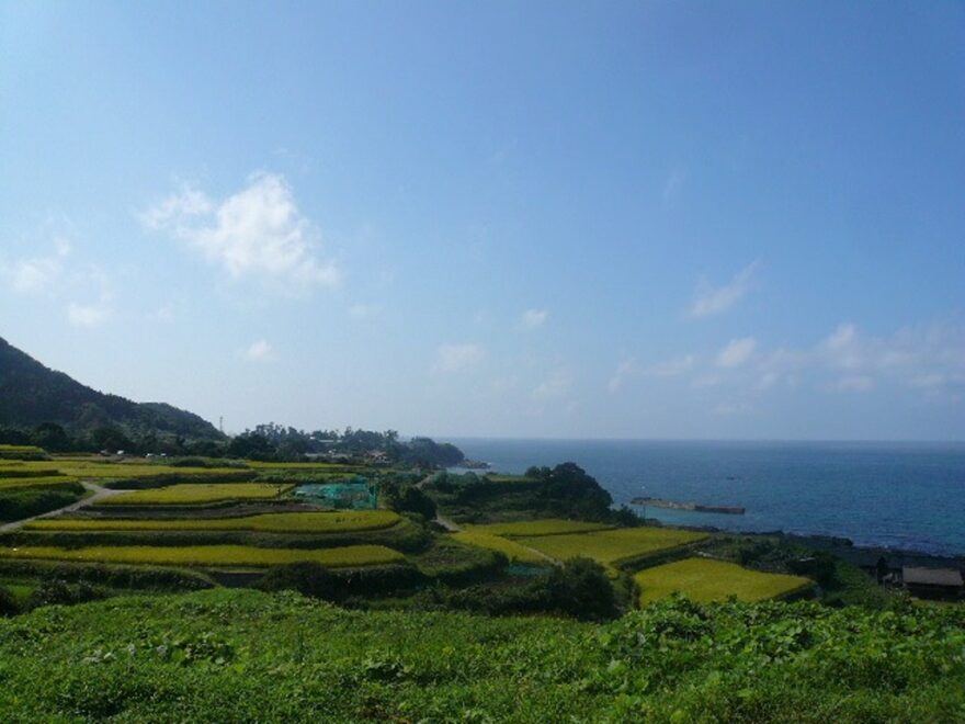 【京丹後】袖志棚田と私たちの未来