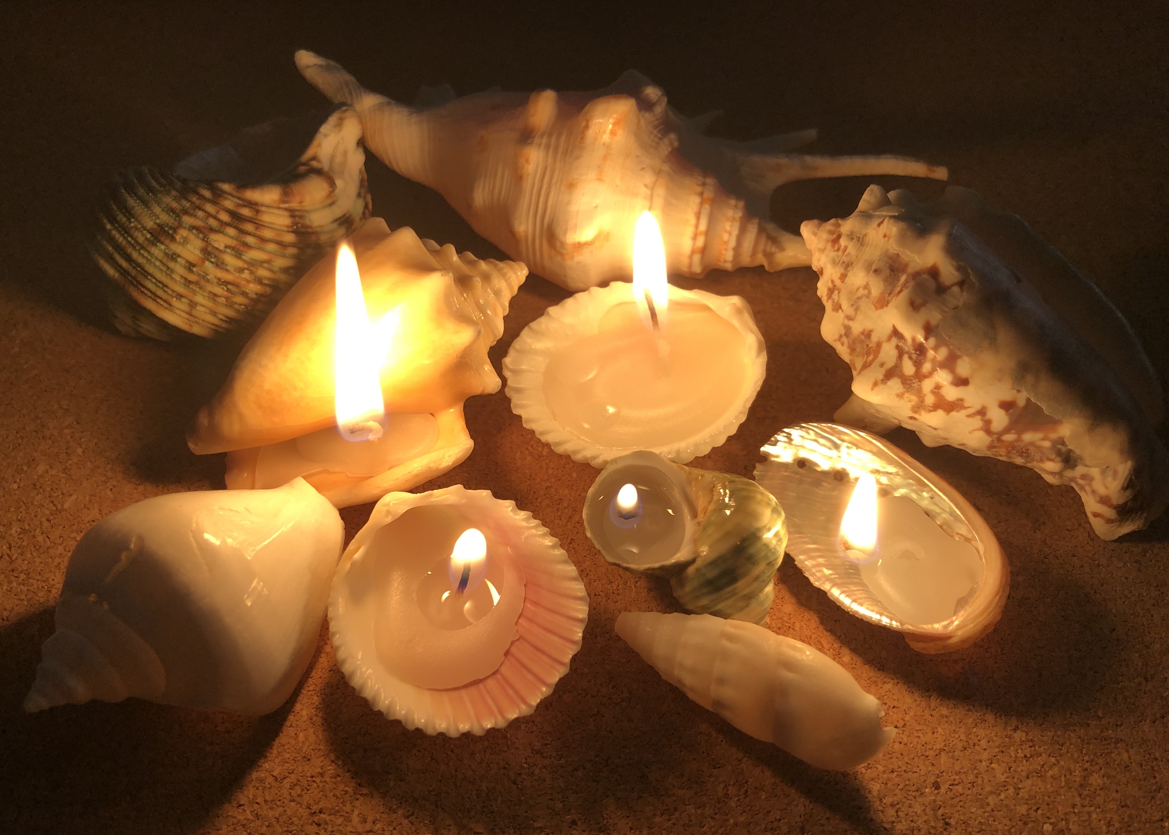 おうちで海活】貝殻アロマキャンドルを作ろう！ | 海と日本PROJECT in 京都