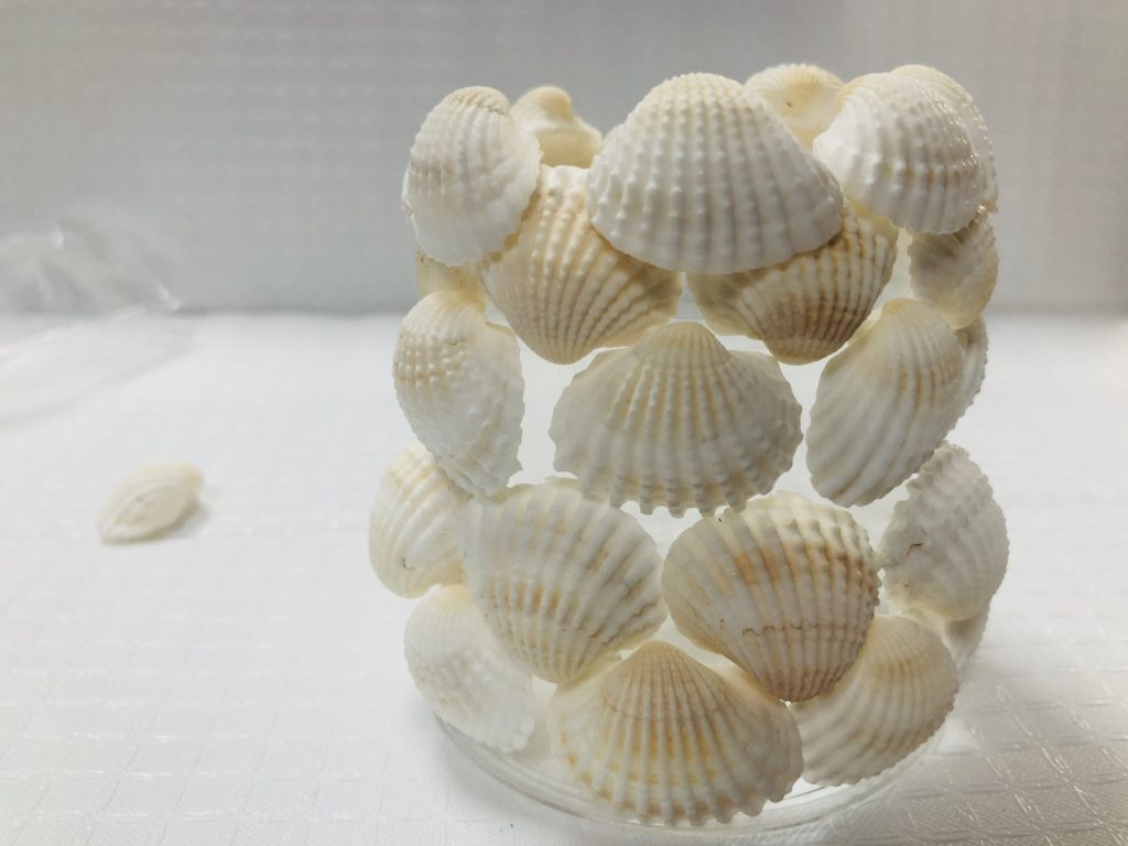 おうちで海活 インテリアに 貝殻ランプシェードを作ろう 海と日本project In 京都