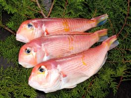 SPEI122_1