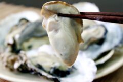 【グルメ】カキ基礎知識と京都のカキ