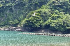 【水質調査】京都の海水浴場　水質調査の結果「適」