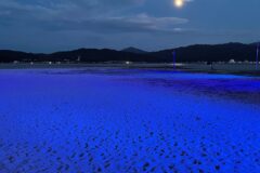 【イベント】まだ間に合う8月の海のイベント2025