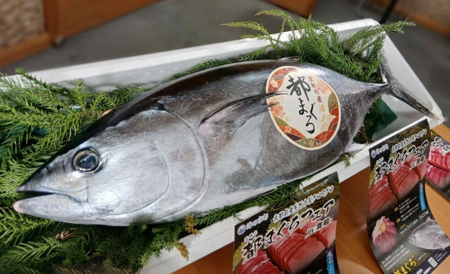 【グルメ】都（みやこ）まぐろフェア in 舞鶴